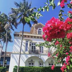 Casa das Palmeiras - Charming Houses Azores